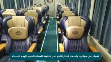 تعرف على مواعيد وأسعار قطار تالجو على خطوط السكة الحديد اليوم السبت